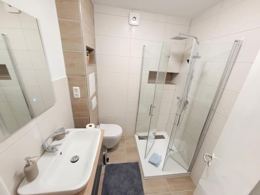 Seestern Geeste Bremerhaven